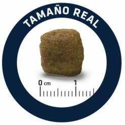 Advance Pienso Diets Articular Para Perro 16 Advance Pienso Diets Articular Para Perro -Suministros De Mascotas Ventas 2024 160877 5 6 g