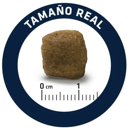 Advance Pienso Diets Articular Para Perro 8 Advance Pienso Diets Articular Para Perro - Imagen 6