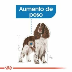 Royal Canin Medium Light Weight Care Para El Control De Peso En Tamaño Mediano -Suministros De Mascotas Ventas 2024 165676 rc ccn lightmed cv eretailkit 2 es es 3 g