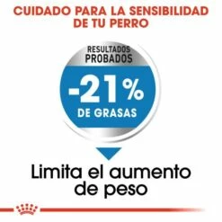 Royal Canin Medium Light Weight Care Para El Control De Peso En Tamaño Mediano -Suministros De Mascotas Ventas 2024 165676 rc ccn lightmed cv eretailkit 3 es es 4 g