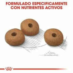 Royal Canin Medium Light Weight Care Para El Control De Peso En Tamaño Mediano -Suministros De Mascotas Ventas 2024 165676 rc ccn lightmed cv eretailkit 5 es es 5 g