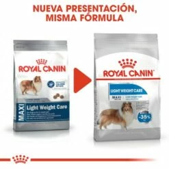 Royal Canin Maxi Light Weight Care Para El Control De Peso En Tamaño Grande -Suministros De Mascotas Ventas 2024 165677 rc ccn lightmaxi cv eretailkit 1 es es 7 g