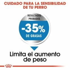 Royal Canin Maxi Light Weight Care Para El Control De Peso En Tamaño Grande -Suministros De Mascotas Ventas 2024 165677 rc ccn lightmaxi cv eretailkit 3 es es 4 g