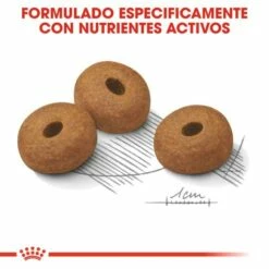 Royal Canin Maxi Light Weight Care Para El Control De Peso En Tamaño Grande -Suministros De Mascotas Ventas 2024 165677 rc ccn lightmaxi cv eretailkit 5 es es 5 g