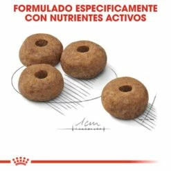 Royal Canin Medium Sterilised Pienso Perro Adulto Esterilizado De Tamaño Mediano -Suministros De Mascotas Ventas 2024 165679 rc ccn sterilisedmed cv eretailkit 5 es es 4 g