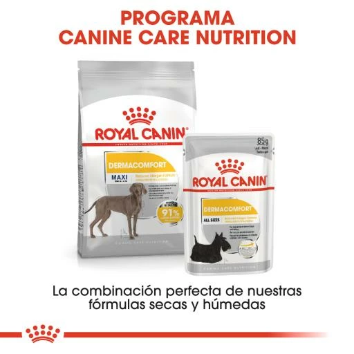 Royal Canin Maxi Dermacomfort Pienso Para Perro Adulto Grande Con Piel Sensible 8 Royal Canin Maxi Dermacomfort Pienso Para Perro Adulto Grande Con Piel Sensible - Imagen 6