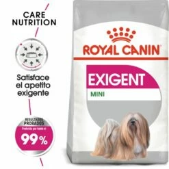 Royal Canin Mini Exigent Pienso Para Perro Adulto Pequeño Con Apetito Exigente