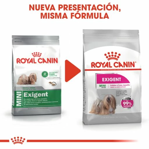 Royal Canin Mini Exigent Pienso Para Perro Adulto Pequeño Con Apetito Exigente 5 Royal Canin Mini Exigent Pienso Para Perro Adulto Pequeño Con Apetito Exigente - Imagen 3