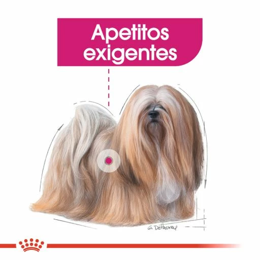 Royal Canin Mini Exigent Pienso Para Perro Adulto Pequeño Con Apetito Exigente 6 Royal Canin Mini Exigent Pienso Para Perro Adulto Pequeño Con Apetito Exigente - Imagen 4