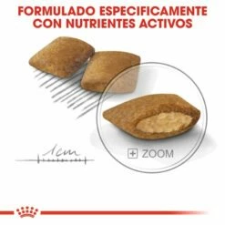 Royal Canin Mini Exigent Pienso Para Perro Adulto Pequeño Con Apetito Exigente 16 Royal Canin Mini Exigent Pienso Para Perro Adulto Pequeño Con Apetito Exigente -Suministros De Mascotas Ventas 2024 165685 6 5 g