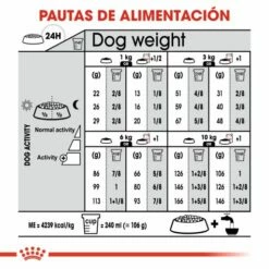 Royal Canin Mini Exigent Pienso Para Perro Adulto Pequeño Con Apetito Exigente 18 Royal Canin Mini Exigent Pienso Para Perro Adulto Pequeño Con Apetito Exigente -Suministros De Mascotas Ventas 2024 165685 8 7 g