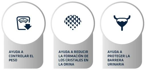 Advance Pienso Urinary Low Calorie Para Gatos Esterilizados 6 Advance Pienso Urinary Low Calorie Para Gatos Esterilizados - Imagen 4