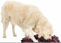 Trixie Alfombra Activity Para Olfatear 22 Trixie Alfombra Activity Para Olfatear -Suministros De Mascotas Ventas 2024 167836 pho pro dog clip 32037 2 9 g