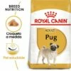 Royal Canin Pug Adult Pienso Para Perro Adulto Carlino