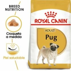 Royal Canin Pug Adult Pienso Para Perro Adulto Carlino