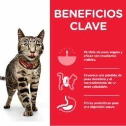Hill's Pienso Science Plan Adult Perfect Weight Para El Control De Peso En Gatos -Suministros De Mascotas Ventas 2024 171313 52742024523 1 2 2 g