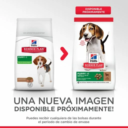 Hill's Science Plan Puppy Medium Con Cordero Y Arroz Para Cachorros Medianos 4 Hill's Science Plan Puppy Medium Con Cordero Y Arroz Para Cachorros Medianos - Imagen 2