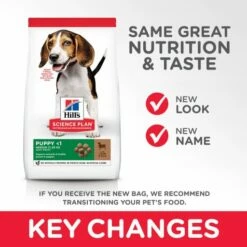 Hill's Science Plan Puppy Medium Con Cordero Y Arroz Para Cachorros Medianos 16 Hill's Science Plan Puppy Medium Con Cordero Y Arroz Para Cachorros Medianos -Suministros De Mascotas Ventas 2024 171501 atf11 52742025018 key changes 5 g