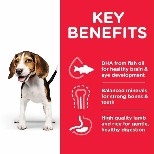 Hill's Science Plan Puppy Medium Con Cordero Y Arroz Para Cachorros Medianos 9 Hill's Science Plan Puppy Medium Con Cordero Y Arroz Para Cachorros Medianos - Imagen 7