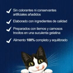 Felix Multipack Fantastic Selección De Sabores En Gelatina -Suministros De Mascotas Ventas 2024 171507 7613035283619 3 beneficios 3 g