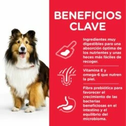 Hill's Pienso Science Plan Sensitive Stomach & Skin Para Estómagos Y Pieles Sensibles En Perros -Suministros De Mascotas Ventas 2024 171532 52742025131 4 6 g