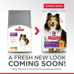 Hill's Pienso Science Plan Sensitive Stomach & Skin Para Estómagos Y Pieles Sensibles En Perros -Suministros De Mascotas Ventas 2024 171532 atf12 52742025131 packaging transition 3 g