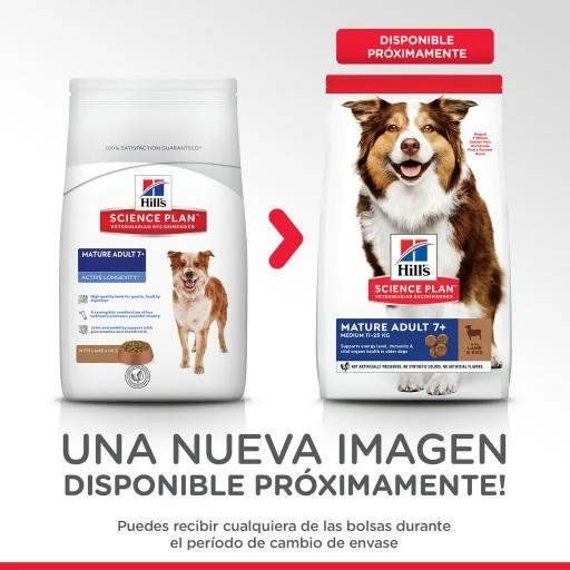 Hill's Pienso Science Plan Mature +7 Medium De Cordero Para Perros De Razas Medianas 4 Hill's Pienso Science Plan Mature +7 Medium De Cordero Para Perros De Razas Medianas - Imagen 2