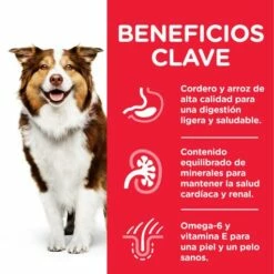 Hill's Pienso Science Plan Mature +7 Medium De Cordero Para Perros De Razas Medianas 17 Hill's Pienso Science Plan Mature +7 Medium De Cordero Para Perros De Razas Medianas -Suministros De Mascotas Ventas 2024 171533 52742026152 1 6 g