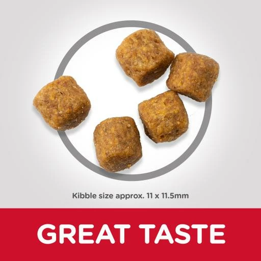 Hill's Pienso Science Plan Mature +7 Medium De Cordero Para Perros De Razas Medianas 11 Hill's Pienso Science Plan Mature +7 Medium De Cordero Para Perros De Razas Medianas - Imagen 9