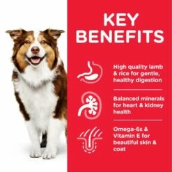 Hill's Pienso Science Plan Mature +7 Medium De Cordero Para Perros De Razas Medianas 18 Hill's Pienso Science Plan Mature +7 Medium De Cordero Para Perros De Razas Medianas -Suministros De Mascotas Ventas 2024 171533 atf8 52742025278 key benefits 7 g