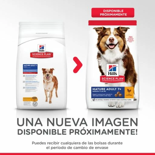 Hill's Pienso Science Plan Mature +7 Medium De Pollo Para Perros Senior De Razas Medianas 4 Hill's Pienso Science Plan Mature +7 Medium De Pollo Para Perros Senior De Razas Medianas - Imagen 2