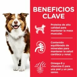 Hill's Pienso Science Plan Mature +7 Medium De Pollo Para Perros Senior De Razas Medianas 17 Hill's Pienso Science Plan Mature +7 Medium De Pollo Para Perros Senior De Razas Medianas -Suministros De Mascotas Ventas 2024 171537 52742026176 4 6 g