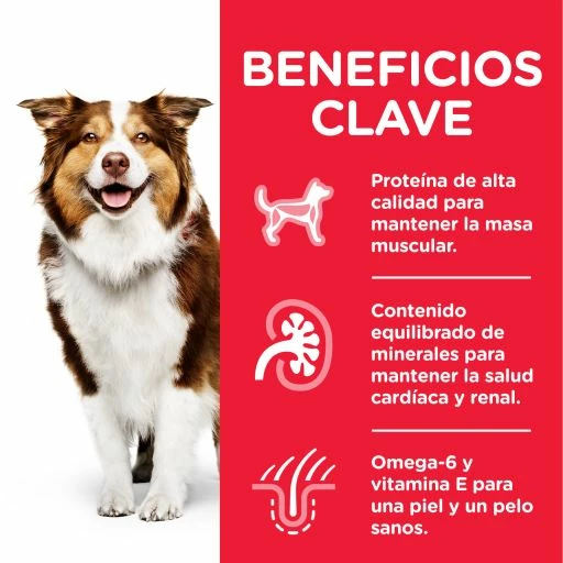 Hill's Pienso Science Plan Mature +7 Medium De Pollo Para Perros Senior De Razas Medianas 8 Hill's Pienso Science Plan Mature +7 Medium De Pollo Para Perros Senior De Razas Medianas - Imagen 6