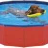 Nayeco Piscina Para Perros 1 Nayeco Piscina Para Perros -Suministros De Mascotas Ventas 2024 173982 8427458021579 main 1 2 g