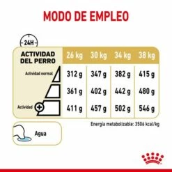 Royal Canin Labrador Retriever Ageing 5+ Pienso Para Perro De Edad Avanzada -Suministros De Mascotas Ventas 2024 174676 rc spt dry lab5 cv 4 es es 5 g