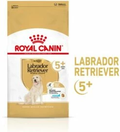 Royal Canin Labrador Retriever Ageing 5+ Pienso Para Perro De Edad Avanzada