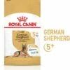 Royal Canin German Shepherd Ageing 5+ Pienso Perro En Edad Avanzada Pastor Alemán -Suministros De Mascotas Ventas 2024 174677 rc spt dry germshep5 mv 1 es es 1 5 g