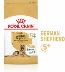 Royal Canin German Shepherd Ageing 5+ Pienso Perro En Edad Avanzada Pastor Alemán