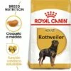 Royal Canin Rottweiler Adult Pienso Para Perro Adulto De Raza -Suministros De Mascotas Ventas 2024 180 1 0 g