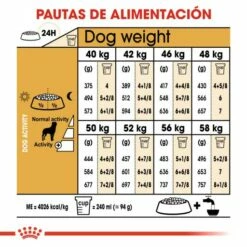 Royal Canin Rottweiler Adult Pienso Para Perro Adulto De Raza -Suministros De Mascotas Ventas 2024 180 7 6 g