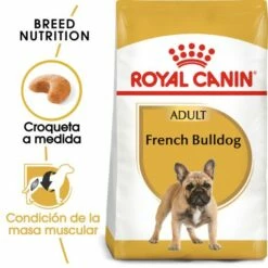 Royal Canin French Bulldog Adult Pienso Para Perro Adulto Bulldog Francés