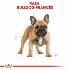 Royal Canin French Bulldog Adult Pienso Para Perro Adulto Bulldog Francés 12 Royal Canin French Bulldog Adult Pienso Para Perro Adulto Bulldog Francés -Suministros De Mascotas Ventas 2024 181 3 2 g