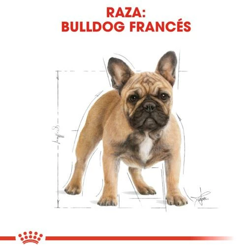 Royal Canin French Bulldog Adult Pienso Para Perro Adulto Bulldog Francés 5 Royal Canin French Bulldog Adult Pienso Para Perro Adulto Bulldog Francés - Imagen 3