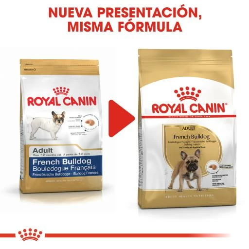 Royal Canin French Bulldog Adult Pienso Para Perro Adulto Bulldog Francés 8 Royal Canin French Bulldog Adult Pienso Para Perro Adulto Bulldog Francés - Imagen 6