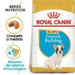 Royal Canin French Bulldog Puppy Pienso Para Cachorro Bulldog Francés