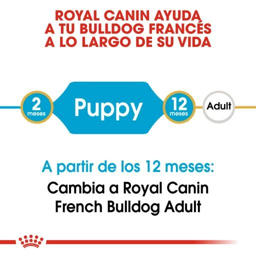 Royal Canin French Bulldog Puppy Pienso Para Cachorro Bulldog Francés 5 Royal Canin French Bulldog Puppy Pienso Para Cachorro Bulldog Francés - Imagen 3