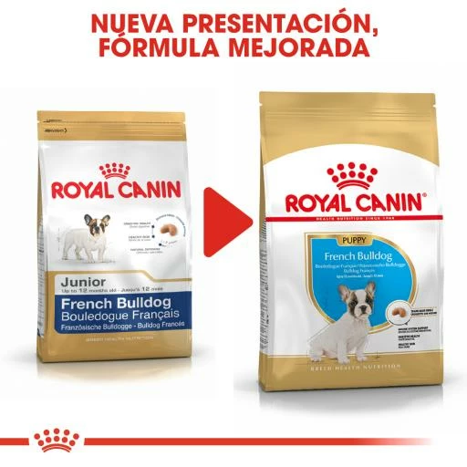 Royal Canin French Bulldog Puppy Pienso Para Cachorro Bulldog Francés 10 Royal Canin French Bulldog Puppy Pienso Para Cachorro Bulldog Francés - Imagen 8