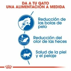 Royal Canin Indoor Long Hair 35 Pienso Para Gato Adulto De Interior Pelo Largo -Suministros De Mascotas Ventas 2024 188601 3 2 g
