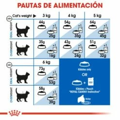 Royal Canin Indoor Long Hair 35 Pienso Para Gato Adulto De Interior Pelo Largo -Suministros De Mascotas Ventas 2024 188601 5 4 g