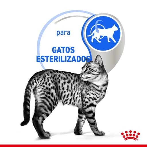 Pack 12 Royal Canin Indoor Sterilised Comida Húmeda En Salsa Para Gato Adulto Esterilizado De Interior 6 Pack 12 Royal Canin Indoor Sterilised Comida Húmeda En Salsa Para Gato Adulto Esterilizado De Interior - Imagen 4